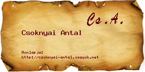 Csoknyai Antal névjegykártya